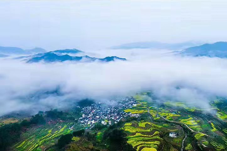 生態(tài)產(chǎn)區(qū)